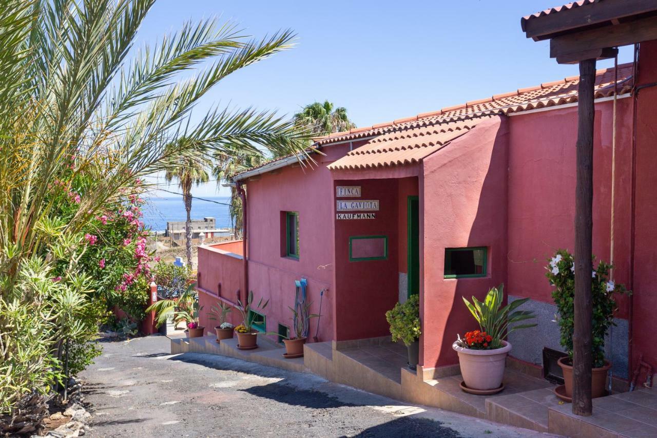 Finca La Gaviota - El Granito Icod De Los Vinos Eksteriør billede